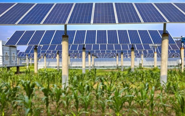 Agrivoltaico, Verso Corsie Autorizzative Preferenziali E Incentivi Nel ...