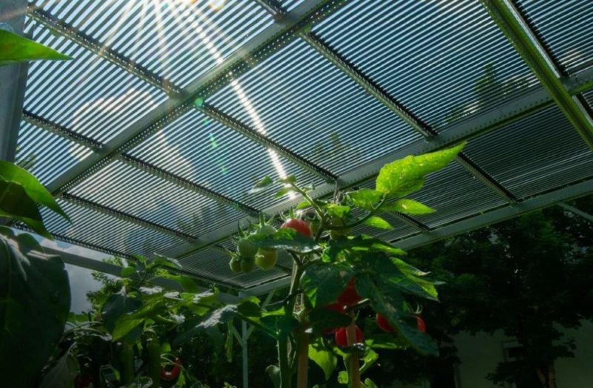 https://cdn.qualenergia.it/wp-content/uploads/2023/07/qualenergia-it-Tubi-film-sottile-agroFV-Tubesolar-dichiara-insolvenza.jpg